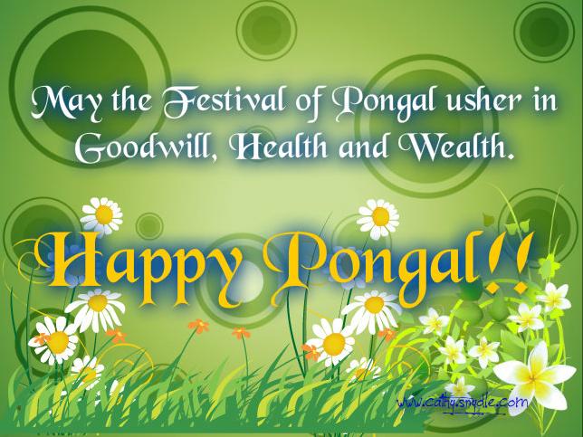 Pongal Greetings Cards