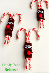 20 Clever Candy Cane Christmas Decorations – Cathy